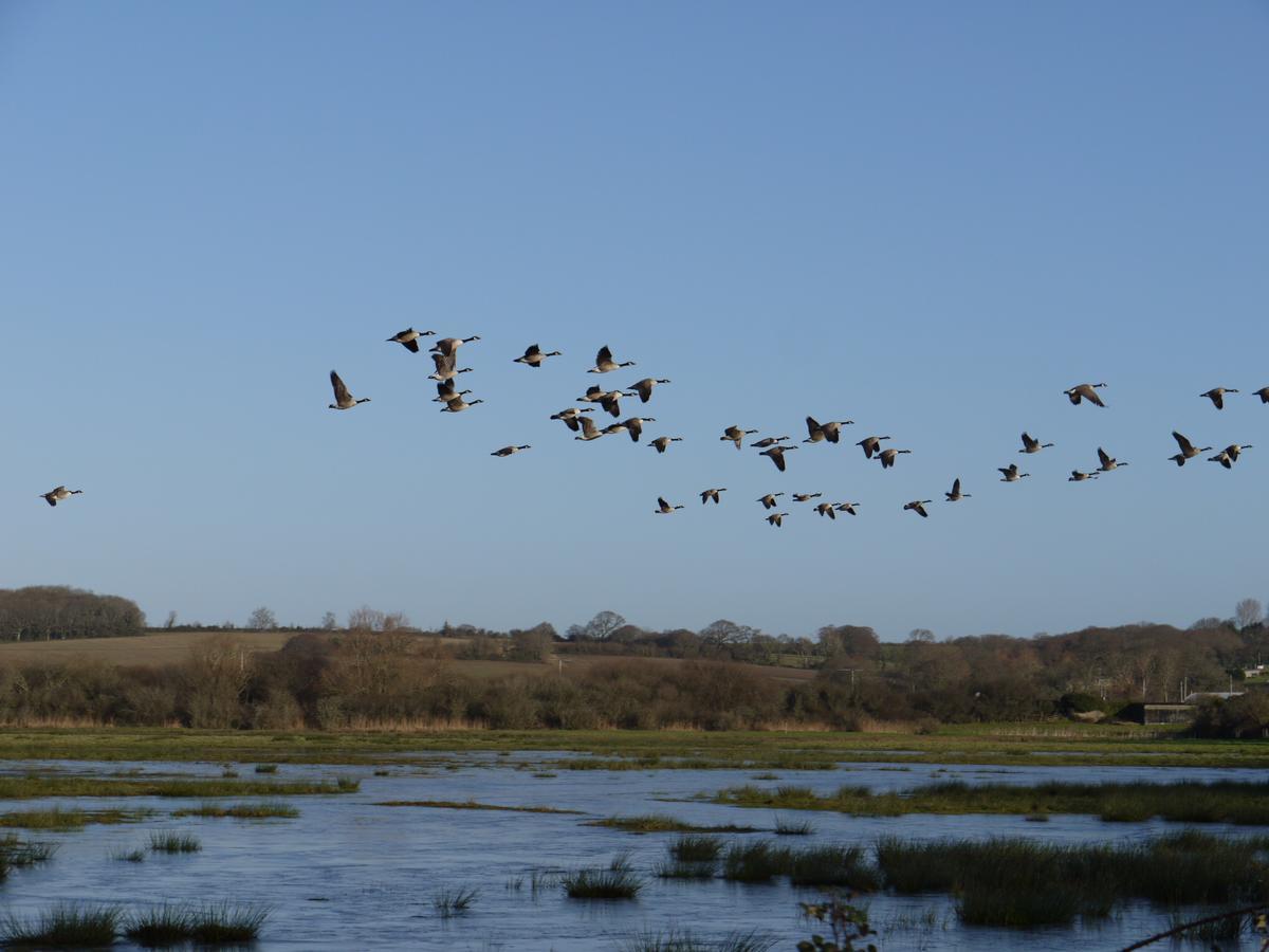 The On The Marsh 3*